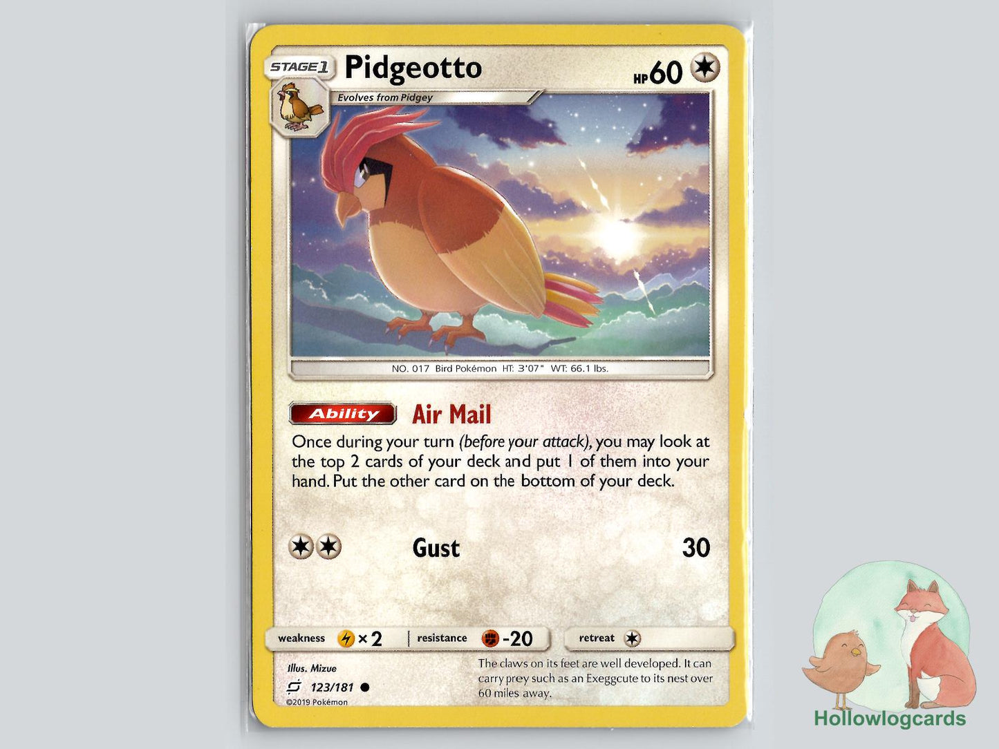 Pidgeotto (123/181) - Team Up Pokémon Card