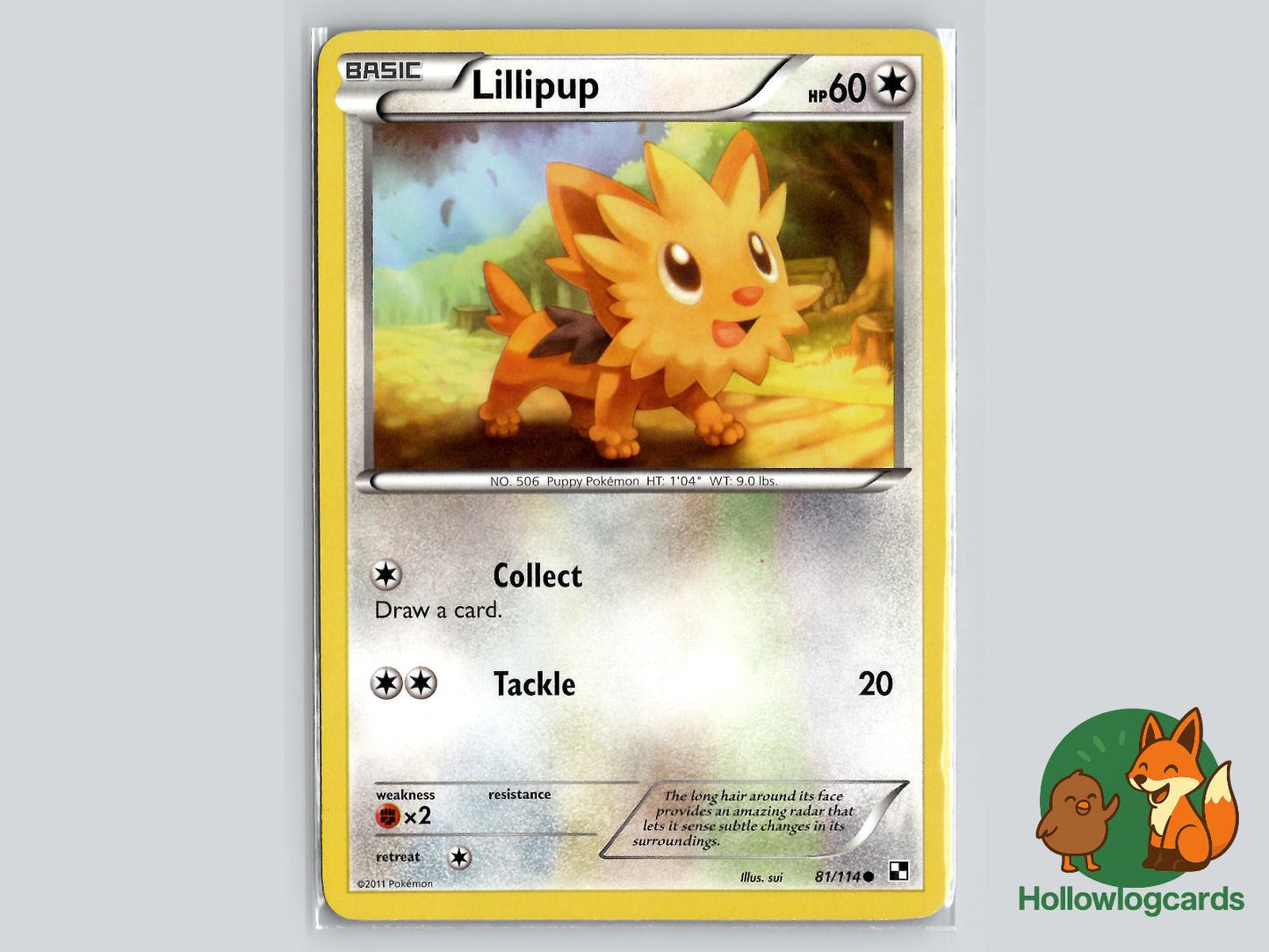 Lillipup (81/114) - Black & White Pokémon Card