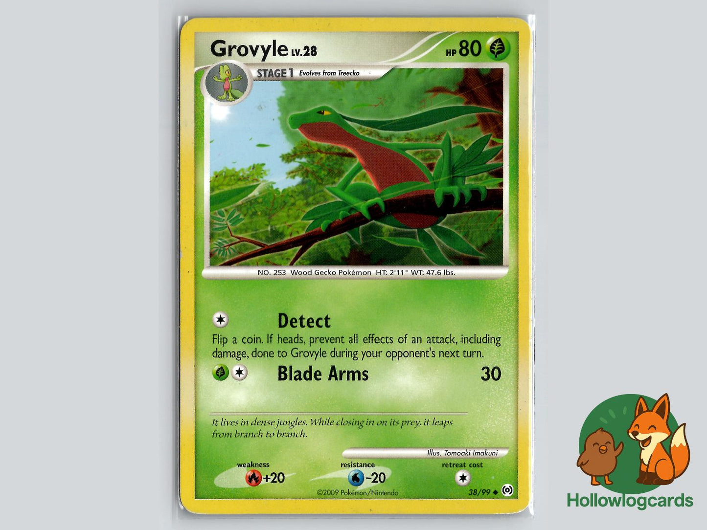 Grovyle (38/99) - Arceus Pokémon Card