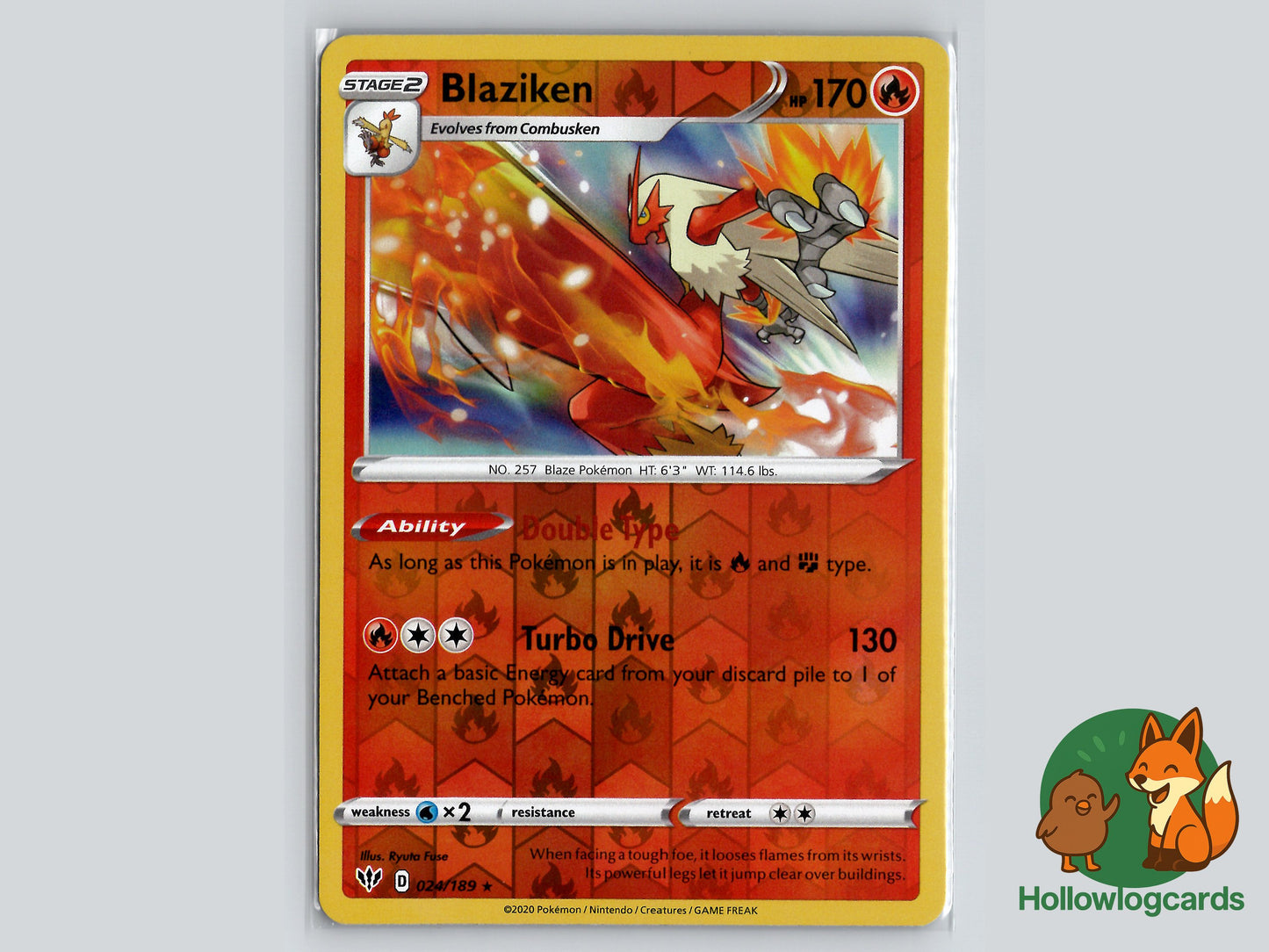 Image of Blaziken Darkness Ablaze (DAA) #024