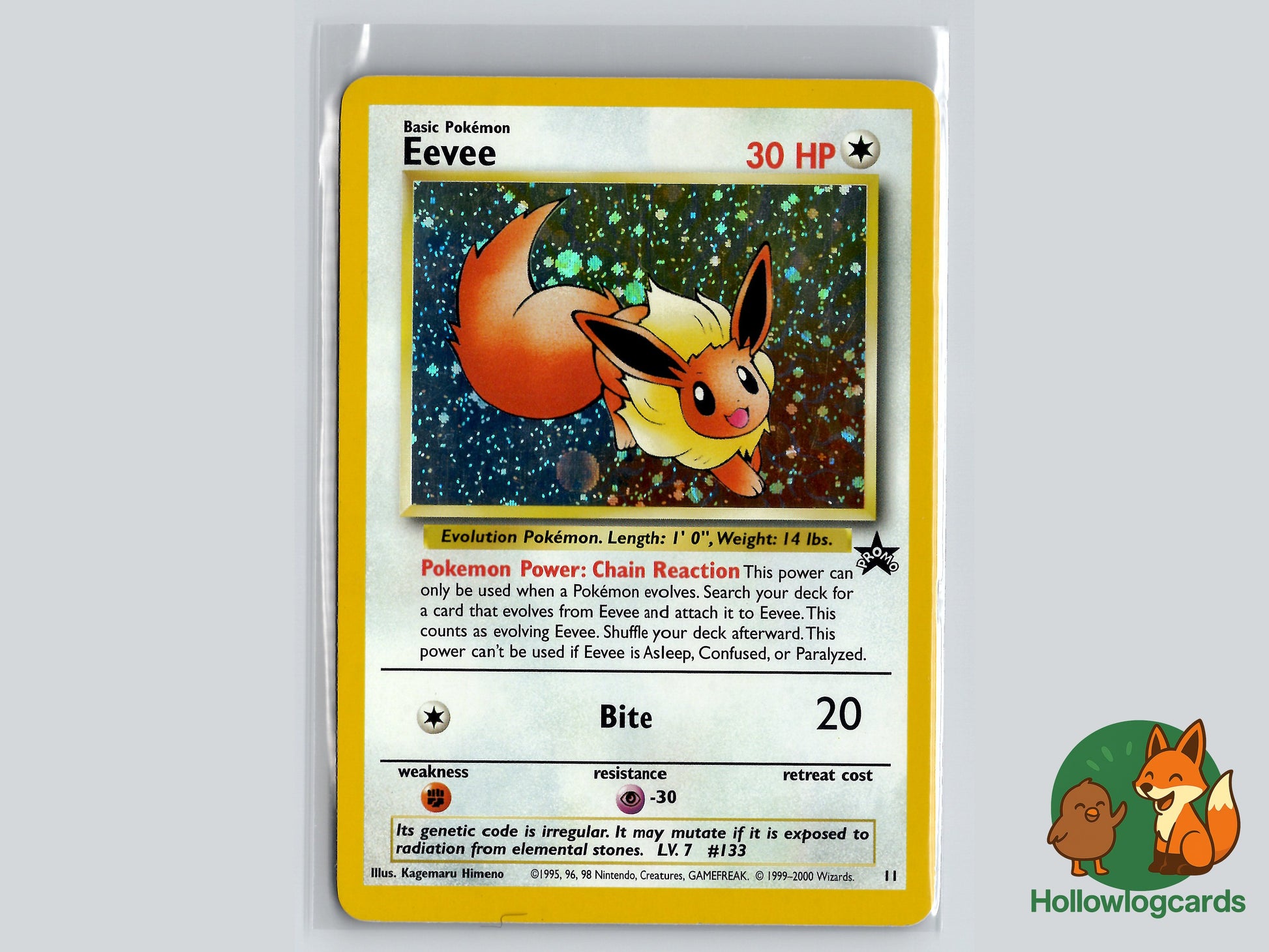 Image of Eevee Wizards Black Star Promos #11