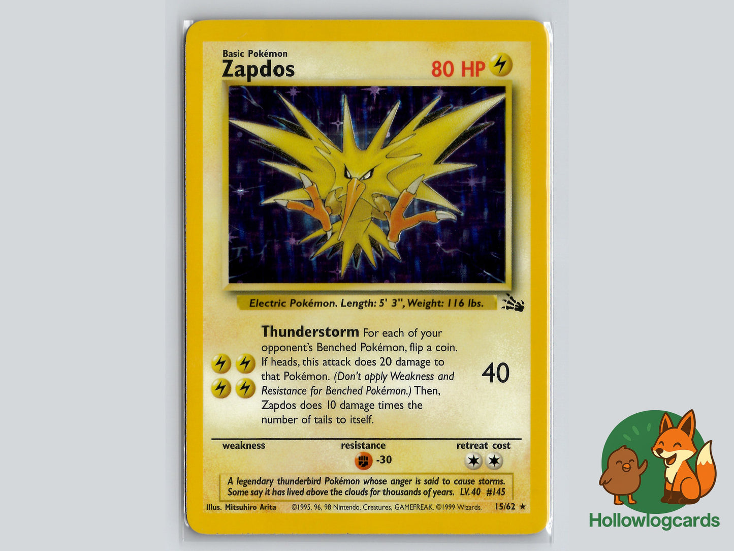 Image of Zapdos Fossil (FO) #15