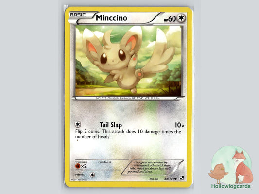 Minccino (88/114) - Black & White Pokémon Card
