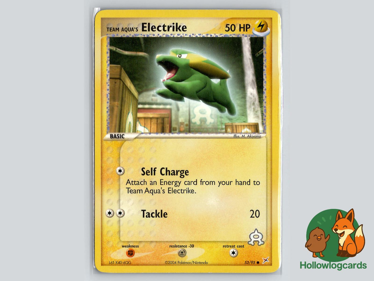 Team Aqua's Electrike (53/95) - Team Magma vs Team Aqua Pokémon Card