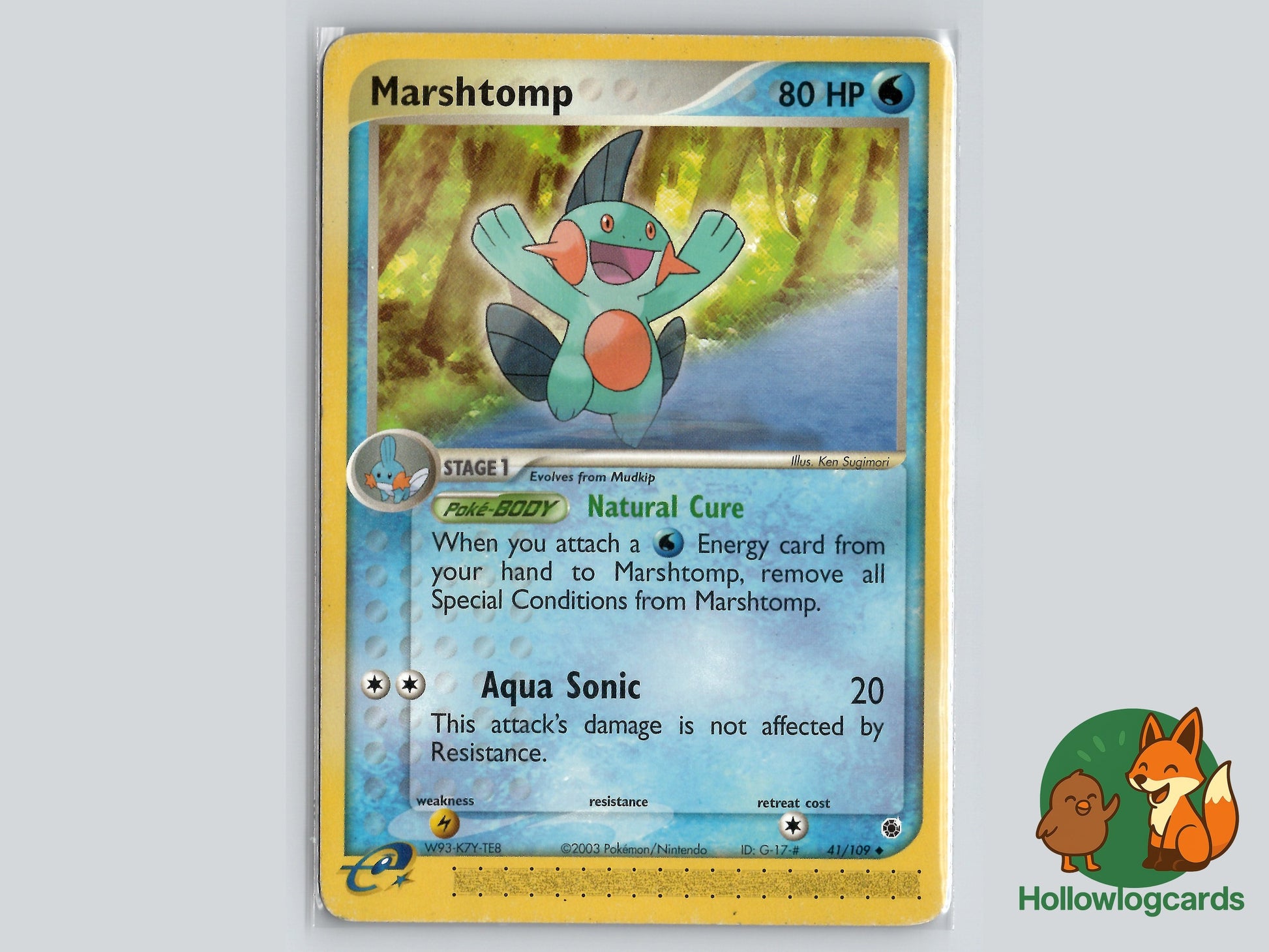 Image of Marshtomp Ruby and Sapphire (RS) #41