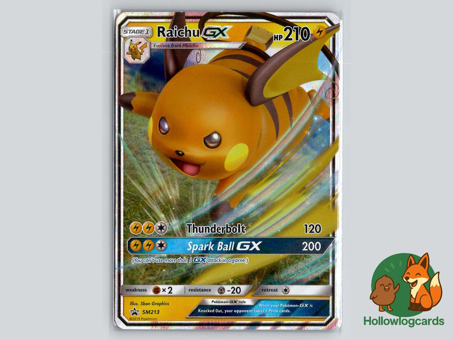 Raichu GX (SM213) - Sun & Moon Pokémon Card