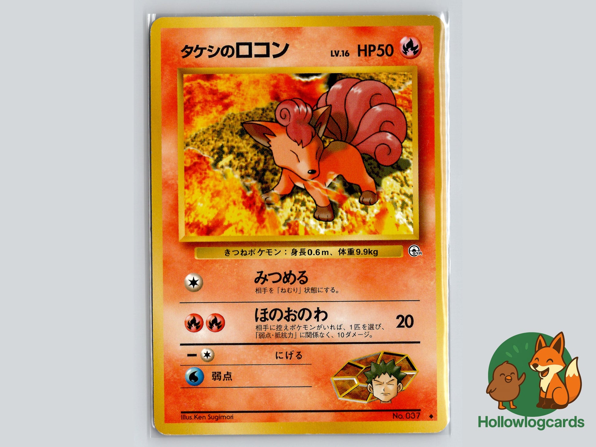 Image of Brocks Vulpix Leaders Stadium (B05) #18