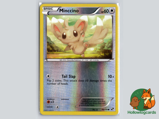Image of Minccino Black and White (BLW) #88
