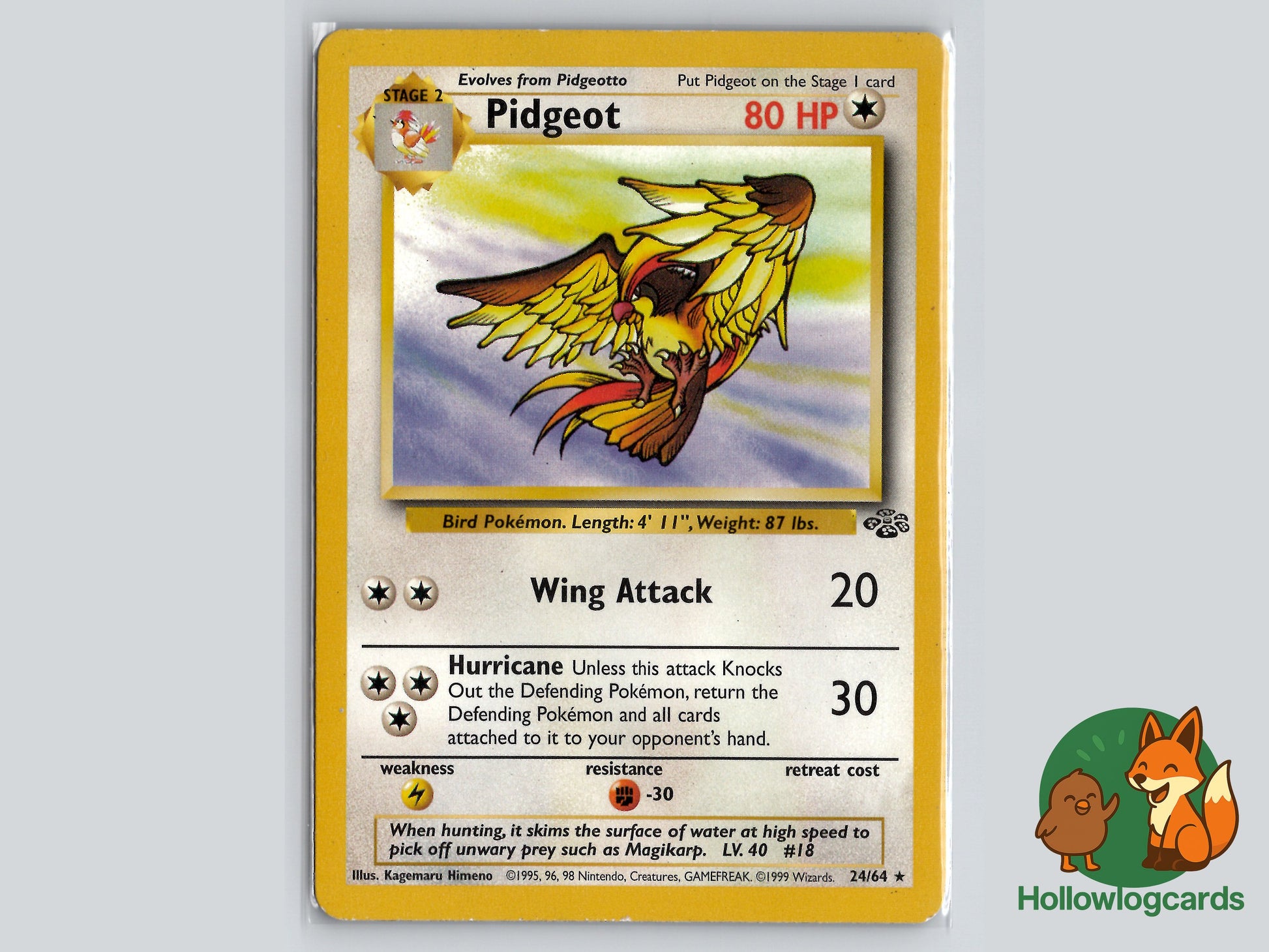 Image of Pidgeot Jungle (JU) #24