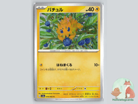 Joltik (016/062) Pokémon Card