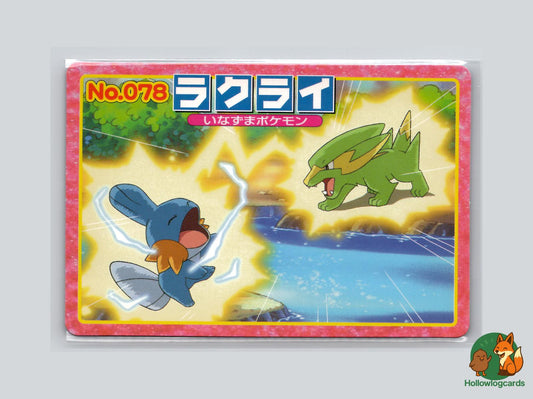 Electrike VS Mudkip Pokémon Card