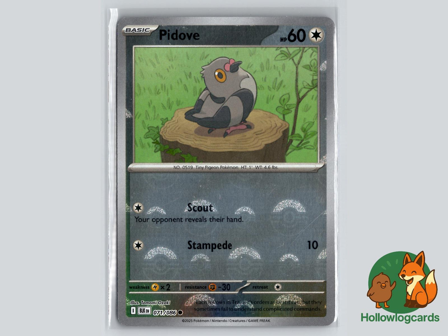 Pidove (071/086) - Black Bolt Pokémon Card