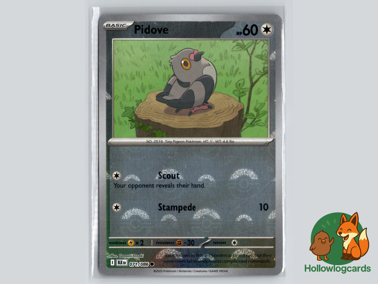 Pidove (071/086) - Black Bolt Pokémon Card