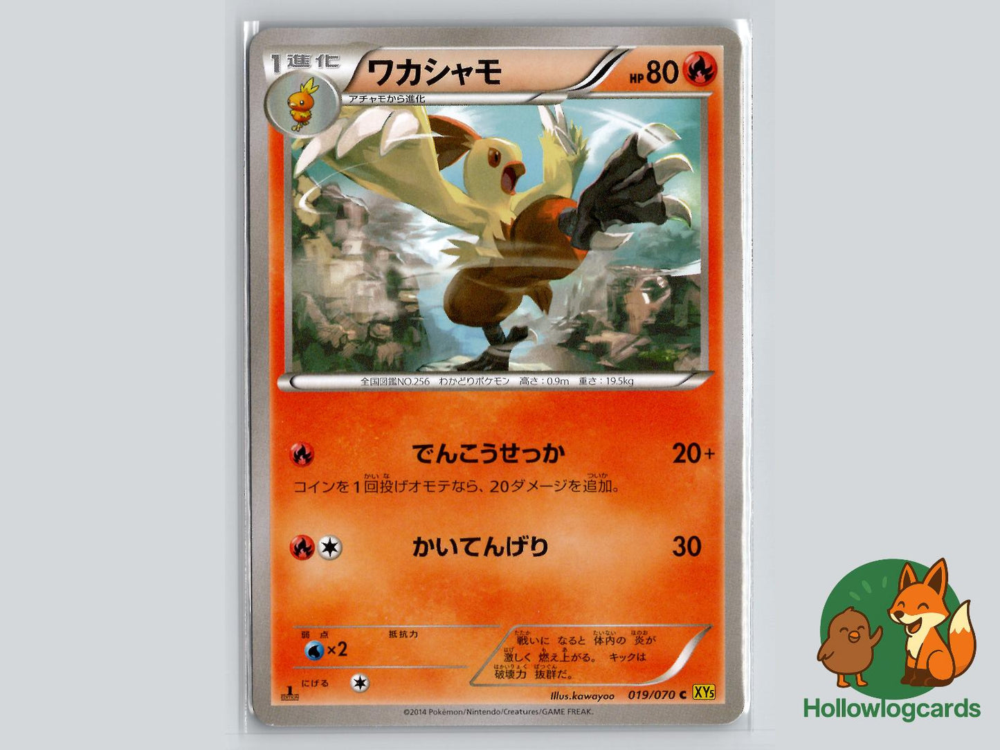 Combusken (019/070) Pokémon Card