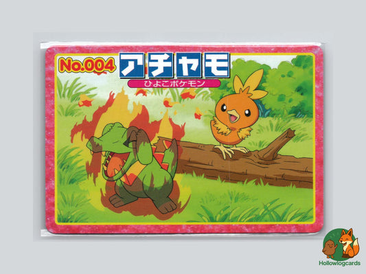 Torchic VS Totodile Pokémon Card
