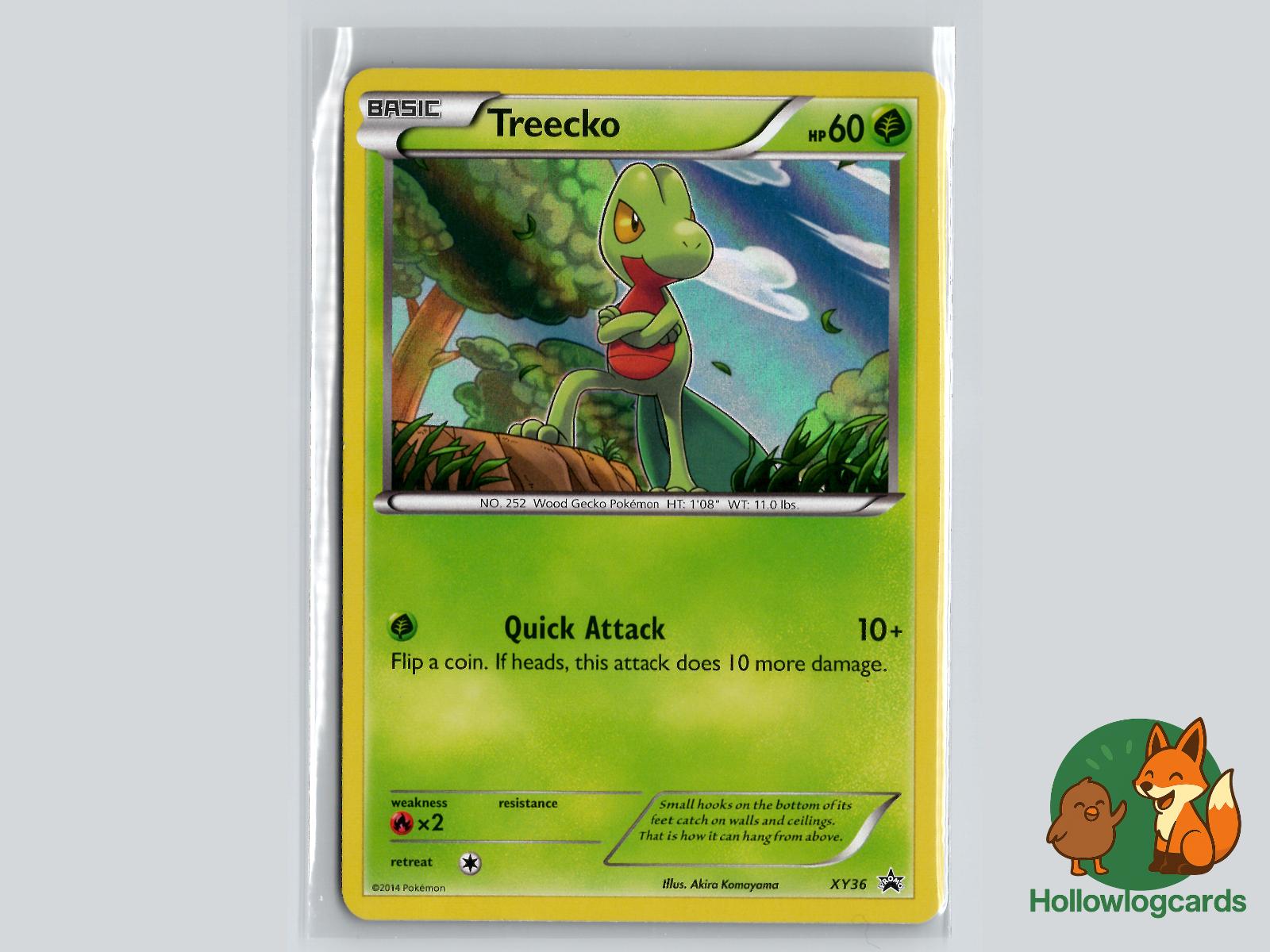 Treecko (XY36) - XY Pokémon Card