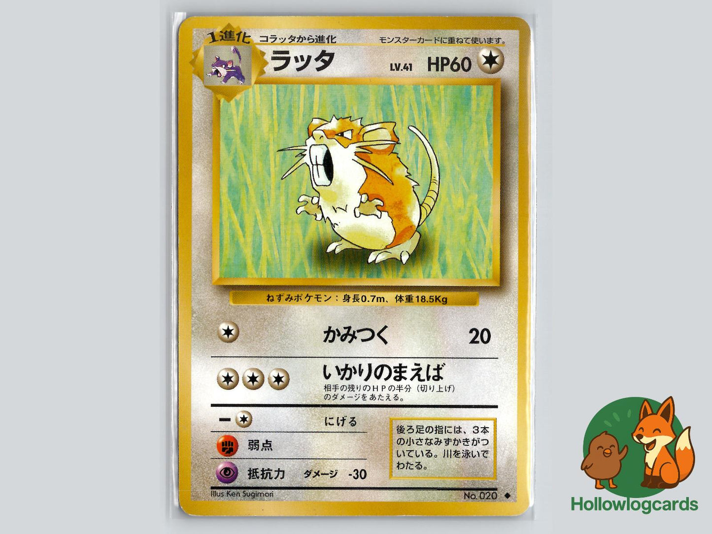 Raticate - Base Pokémon Card