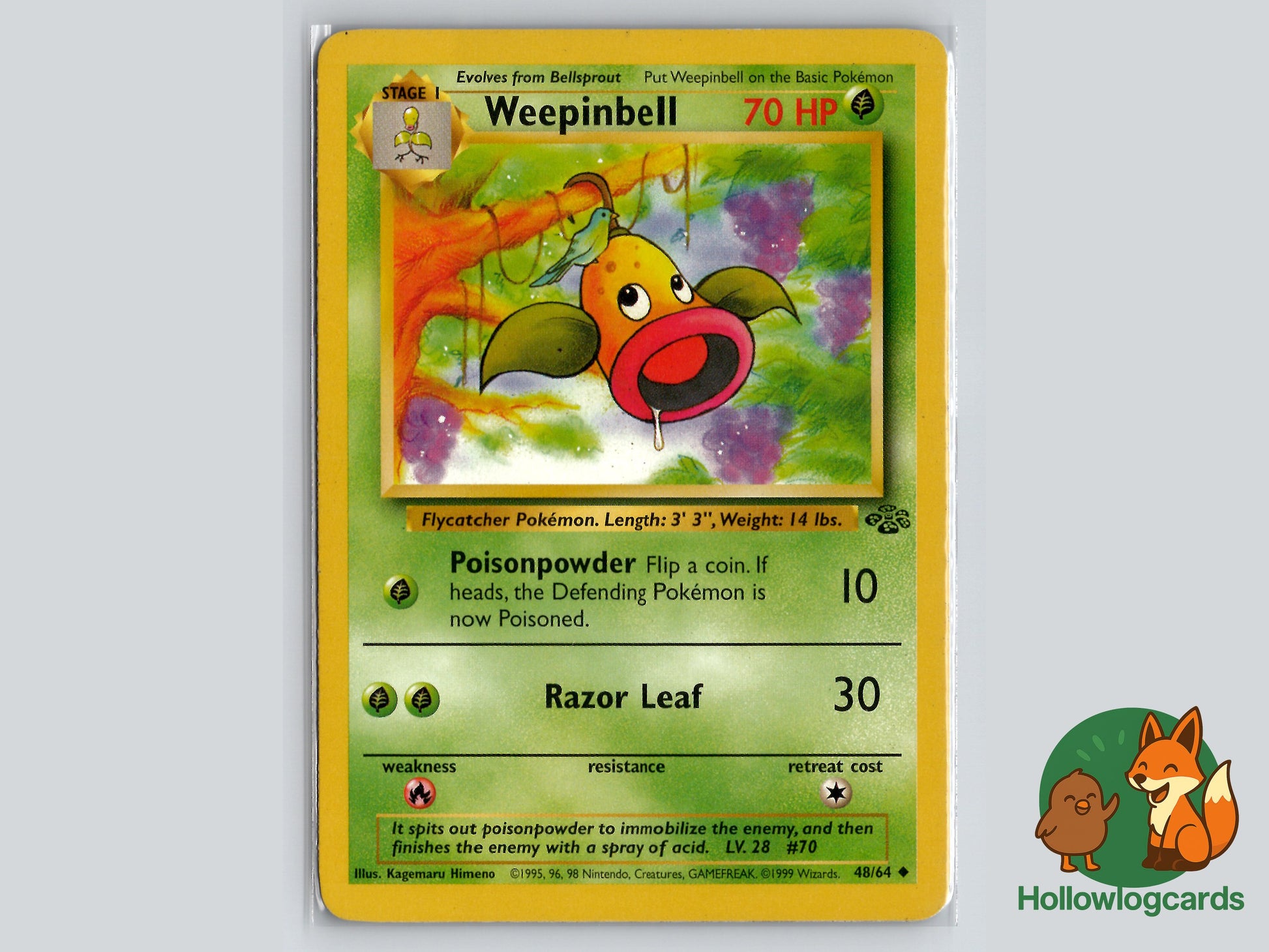 Image of Weepinbell Jungle (JU) #48