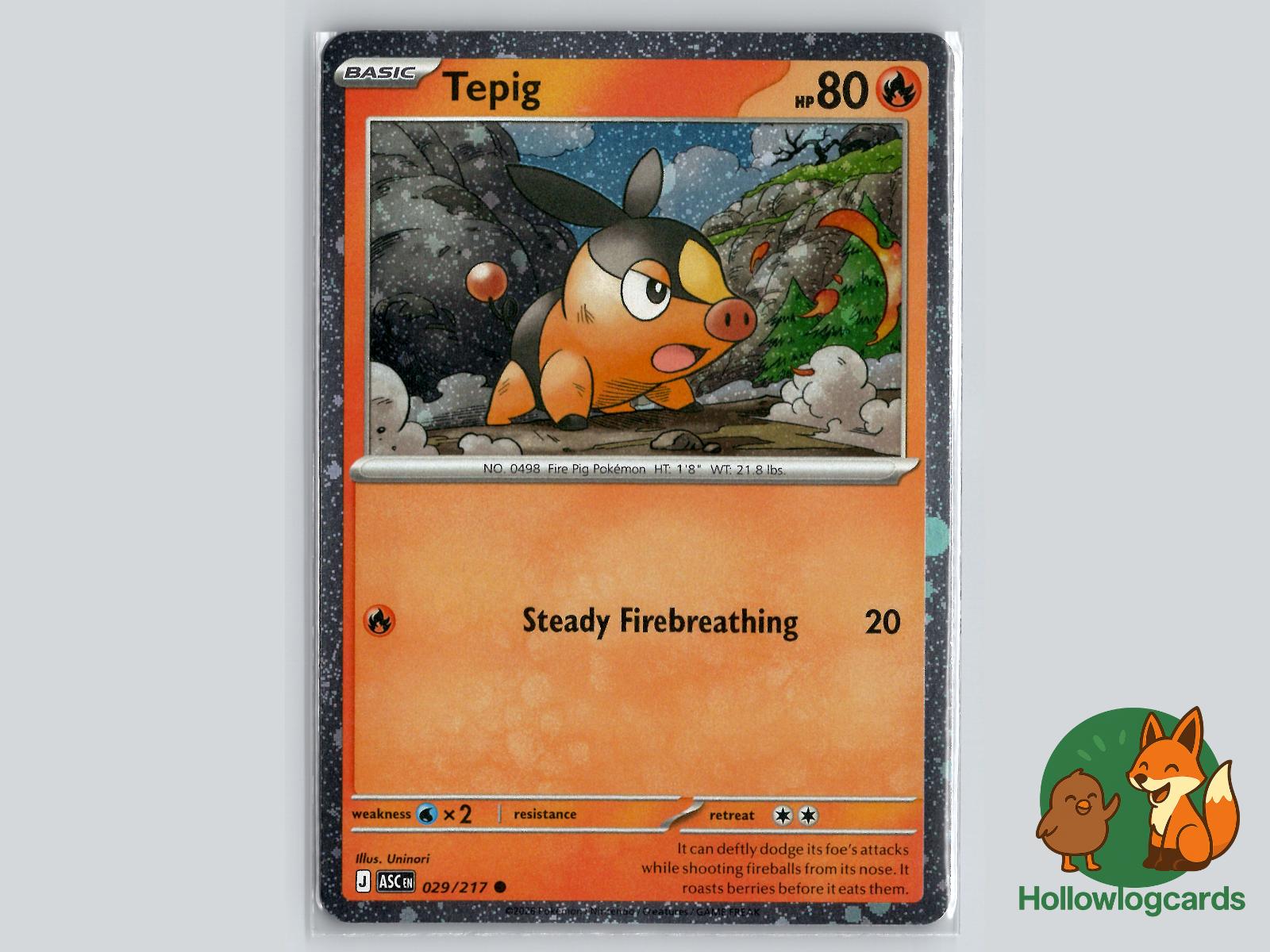 Tepig (029/217) Pokémon Card
