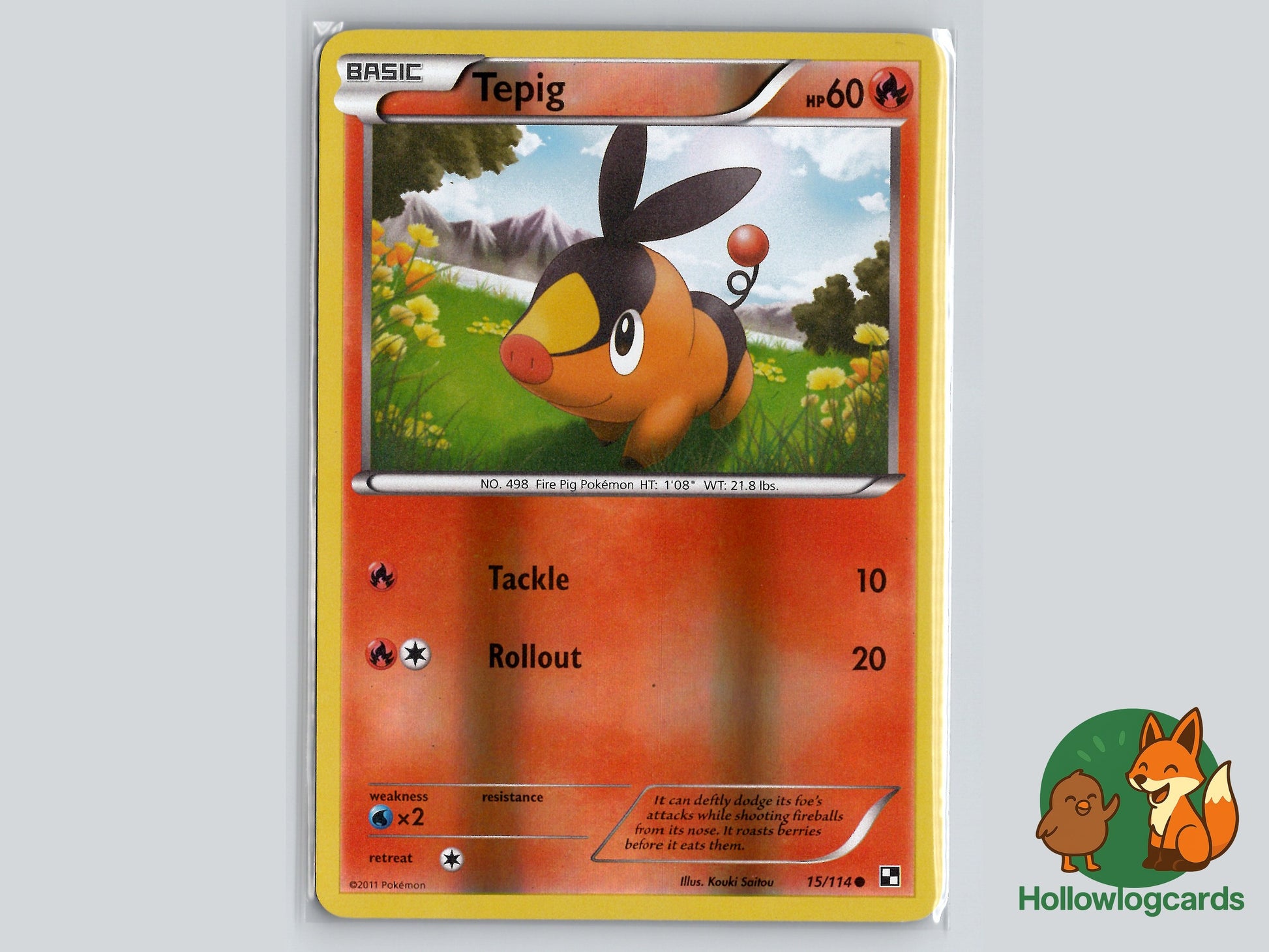 Image of Tepig Black and White (BLW) #15