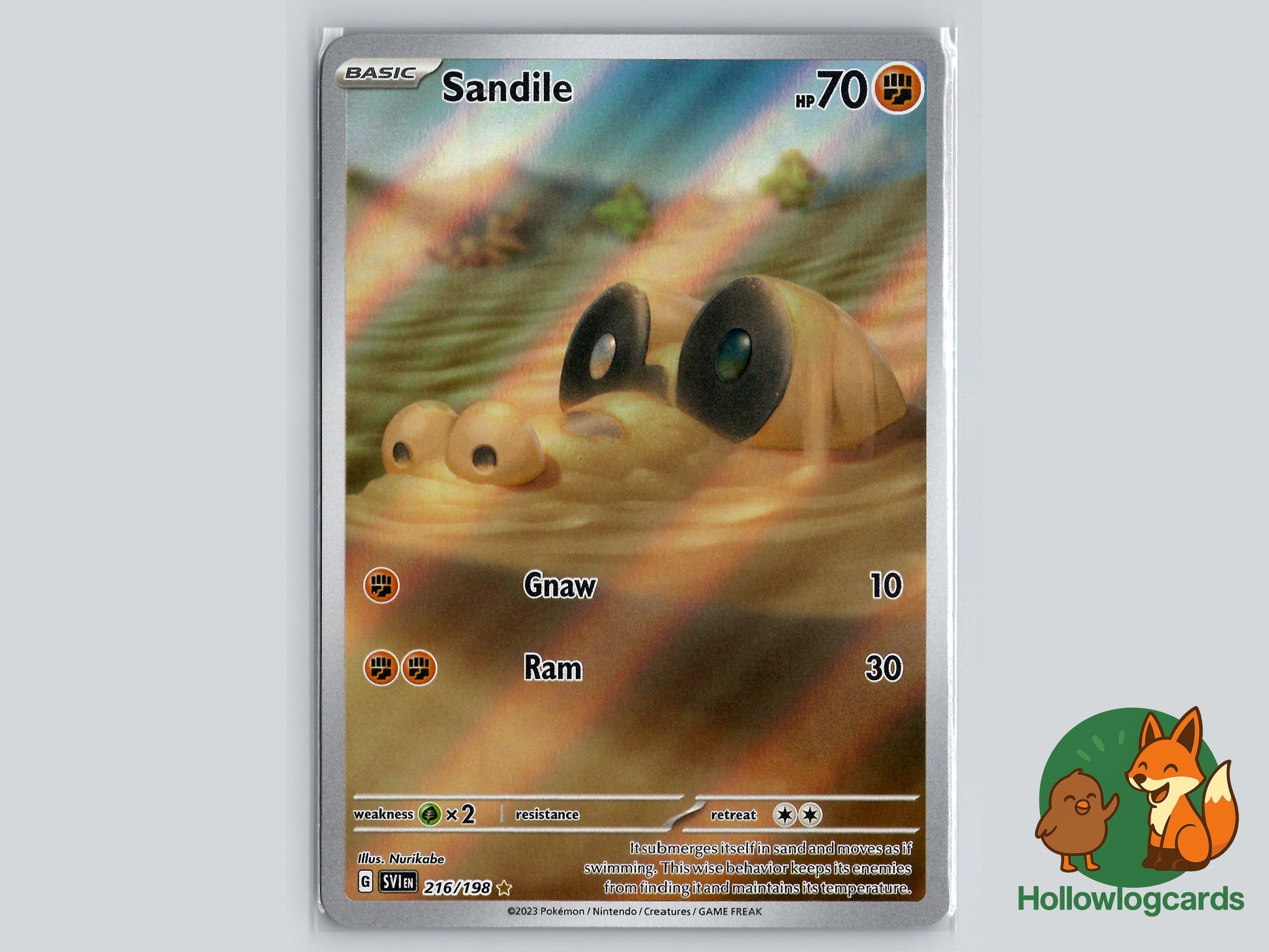 Image of Sandile Scarlet and Violet (SVI) #216