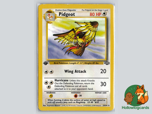 1st Edition Pidgeot (24/64) - Jungle Pokémon Card