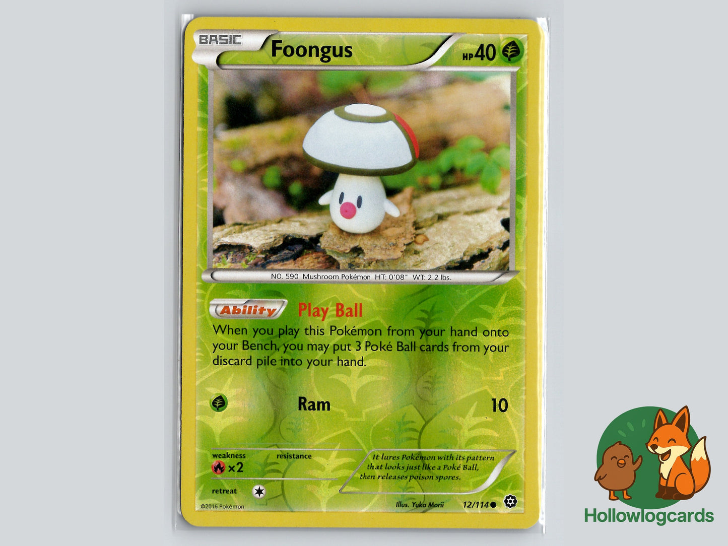 Image of Foongus Steam Siege (STS) #12
