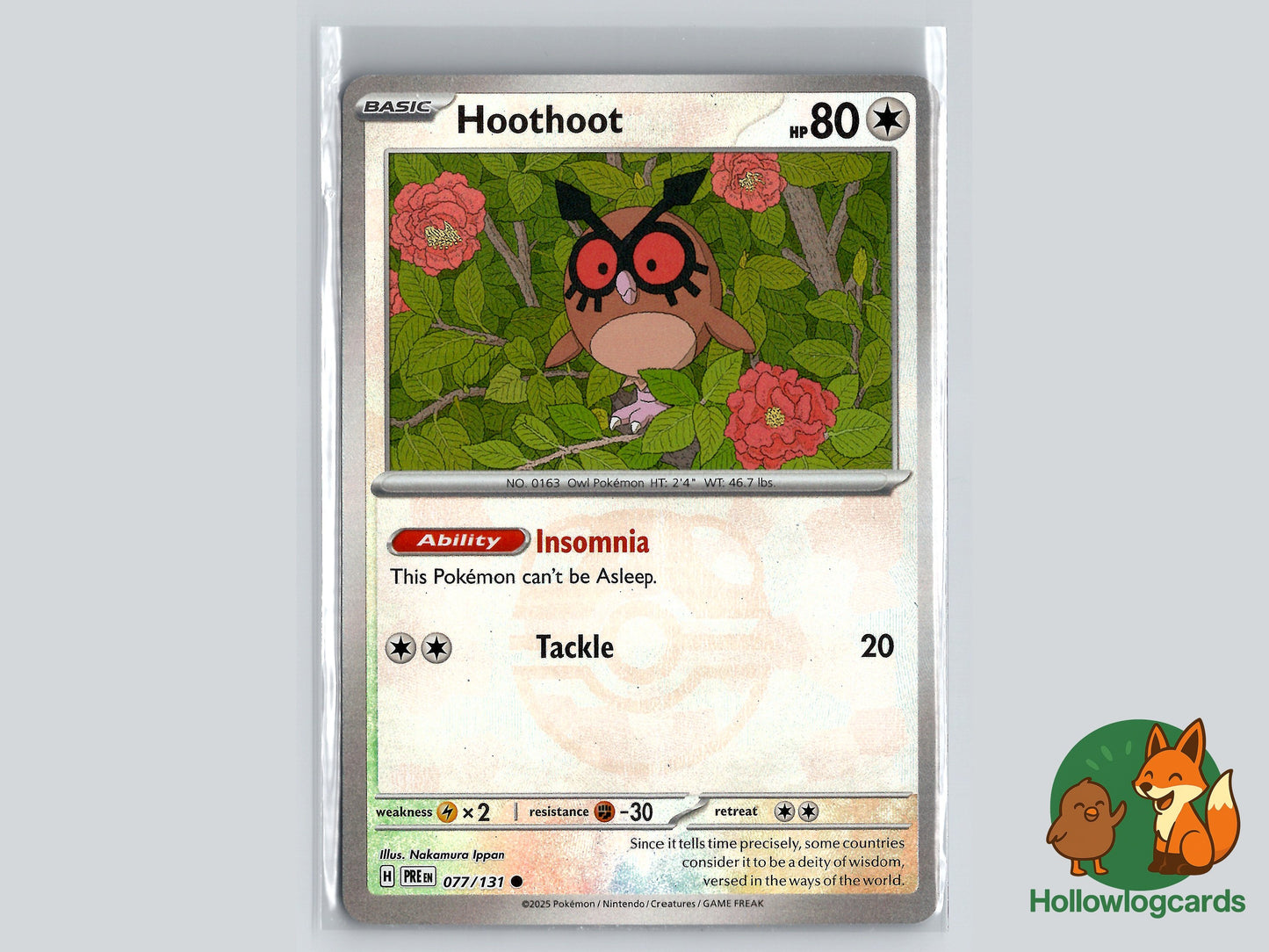 Image of Hoothoot Prismatic Evolutions (PRE) #77