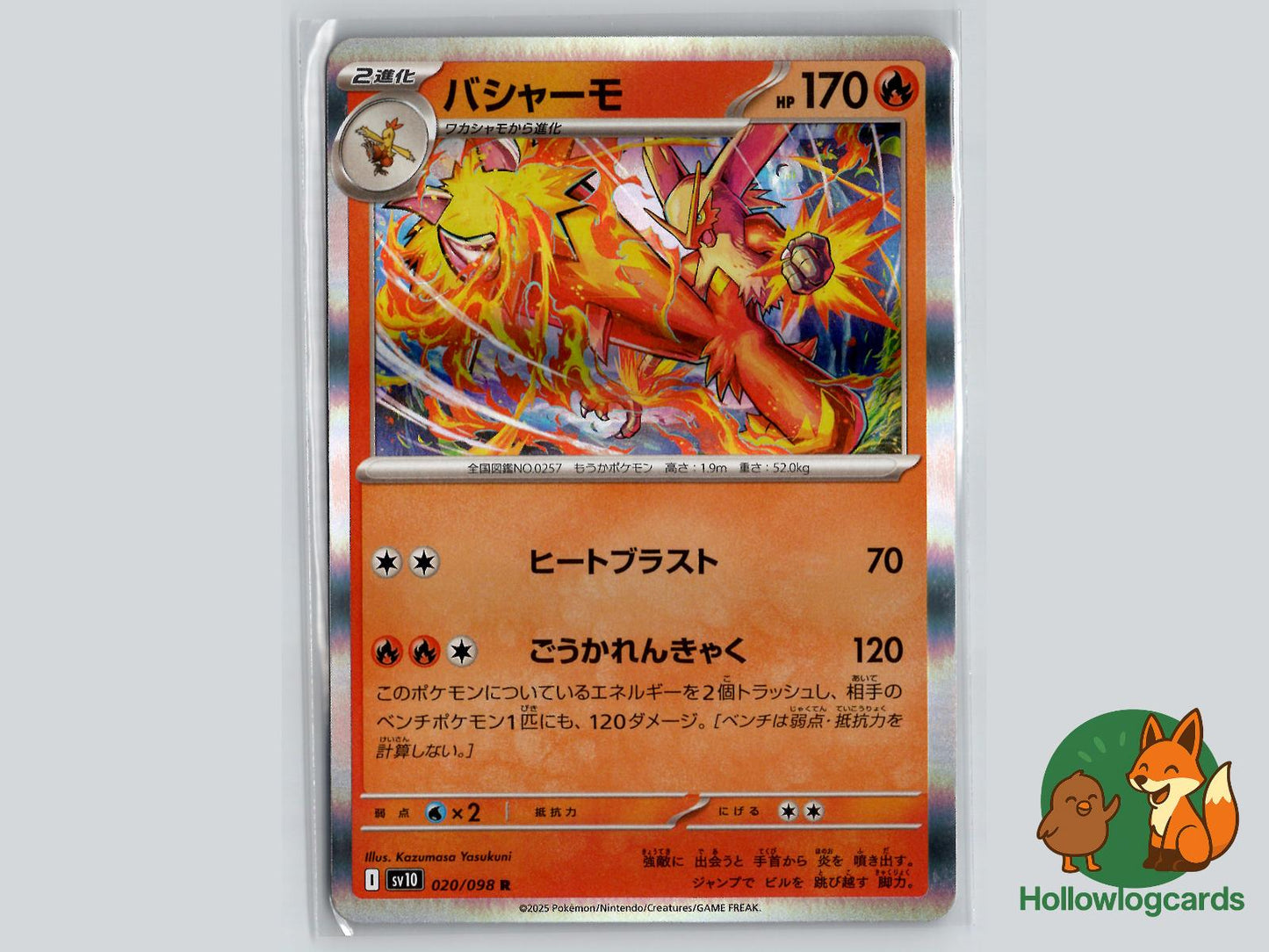 Blaziken (020/098) Pokémon Card