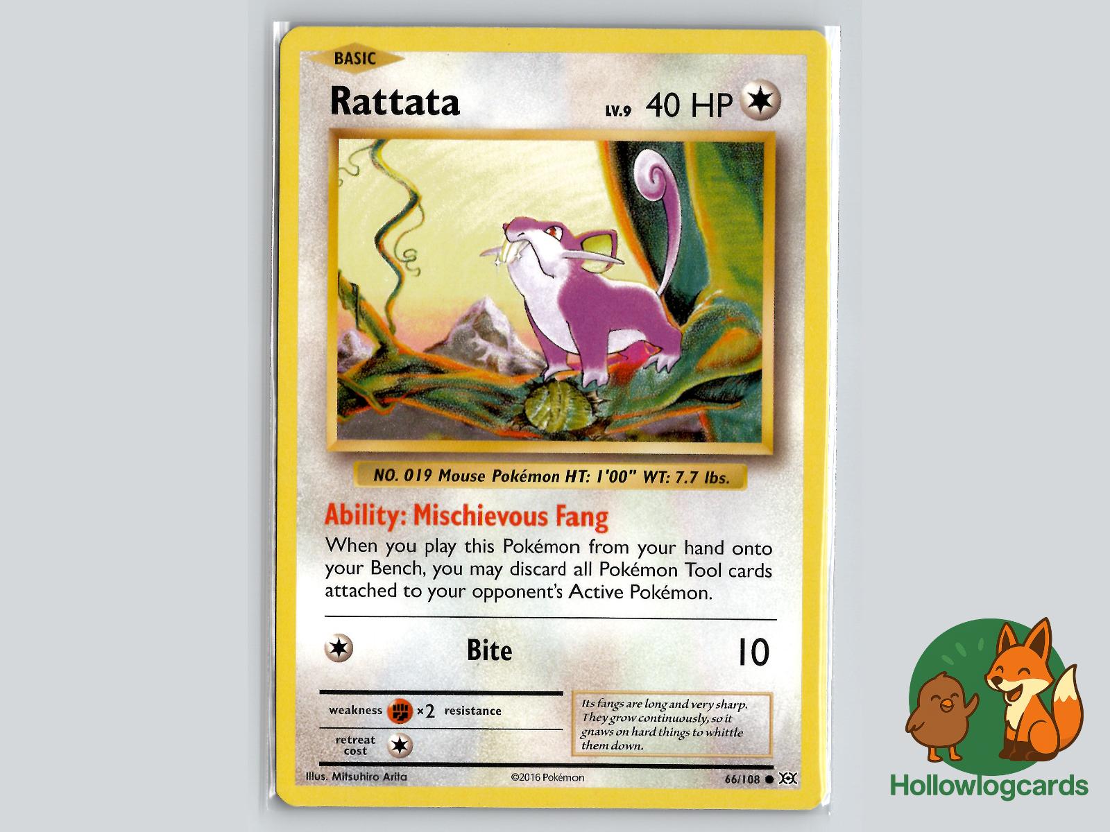 Rattata (66/108) - Evolutions Pokémon Card