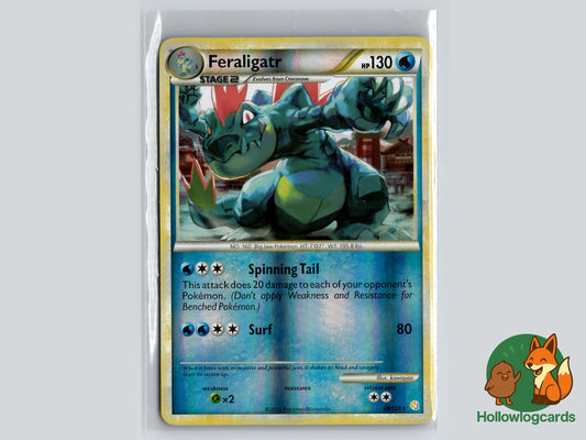 Image of Feraligatr HeartGold and SoulSilver (HS) #20