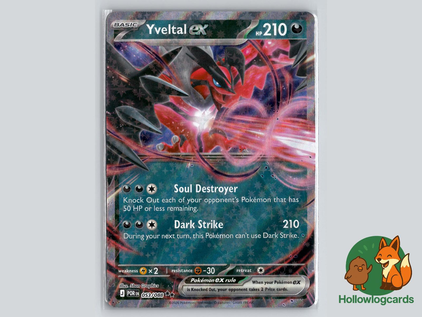 Yveltal ex (053/088) Pokémon Card