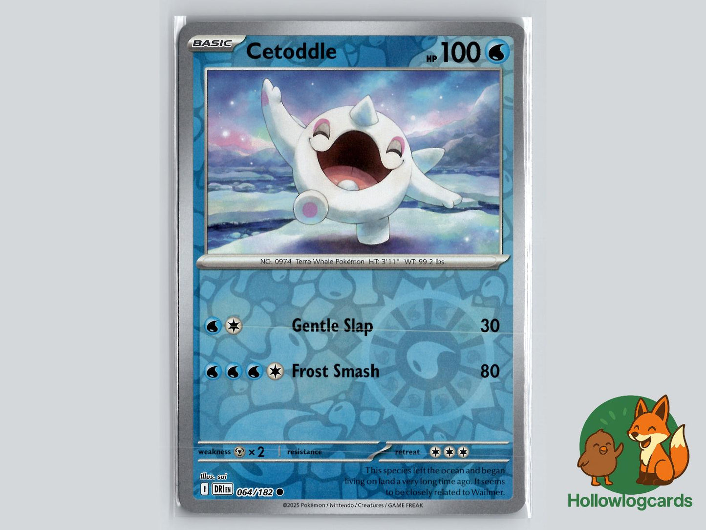 Cetoddle (064/182) - Destined Rivals Pokémon Card
