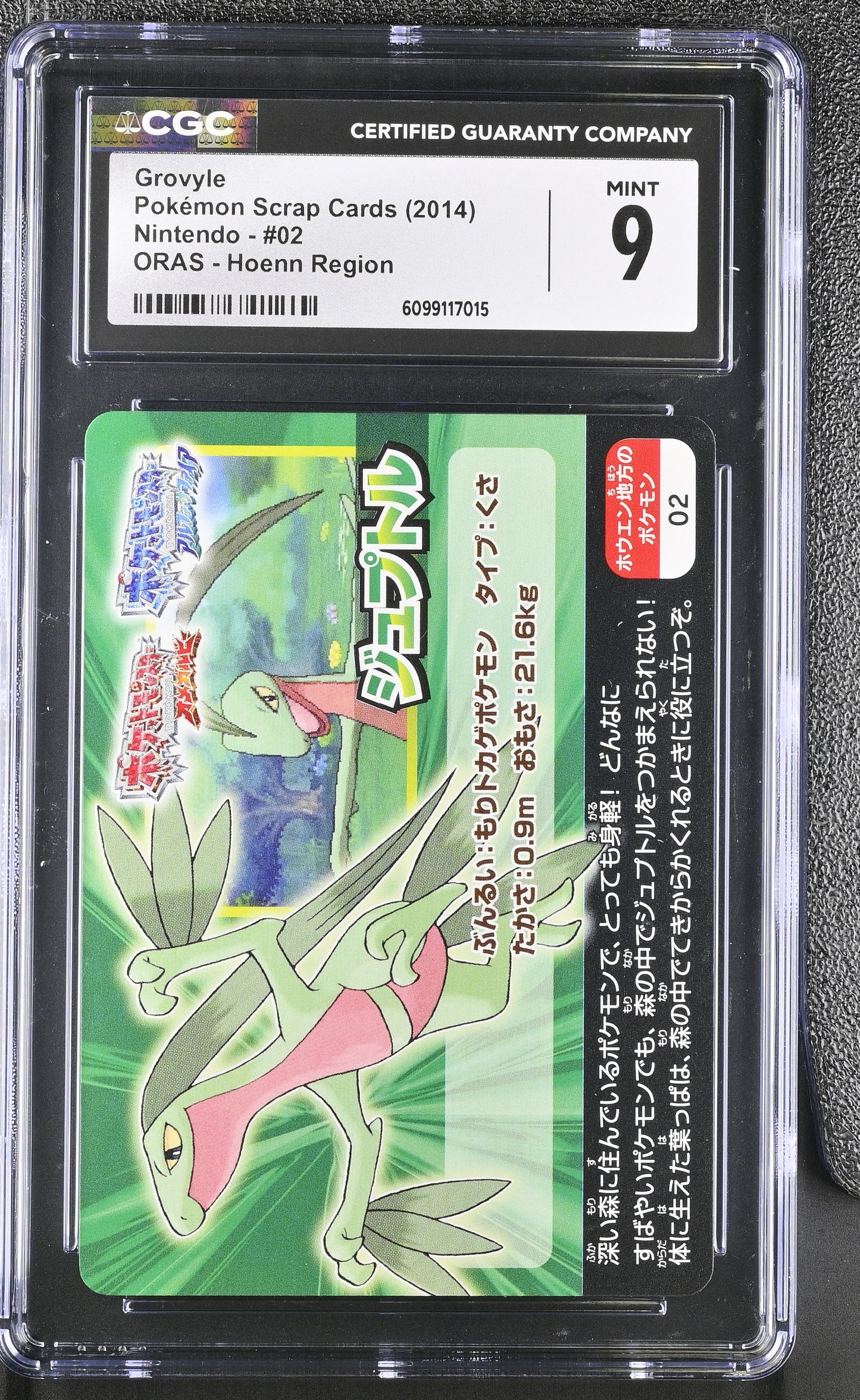 Graded Grovyle (02) - Pokemon Scrap Pokémon Card