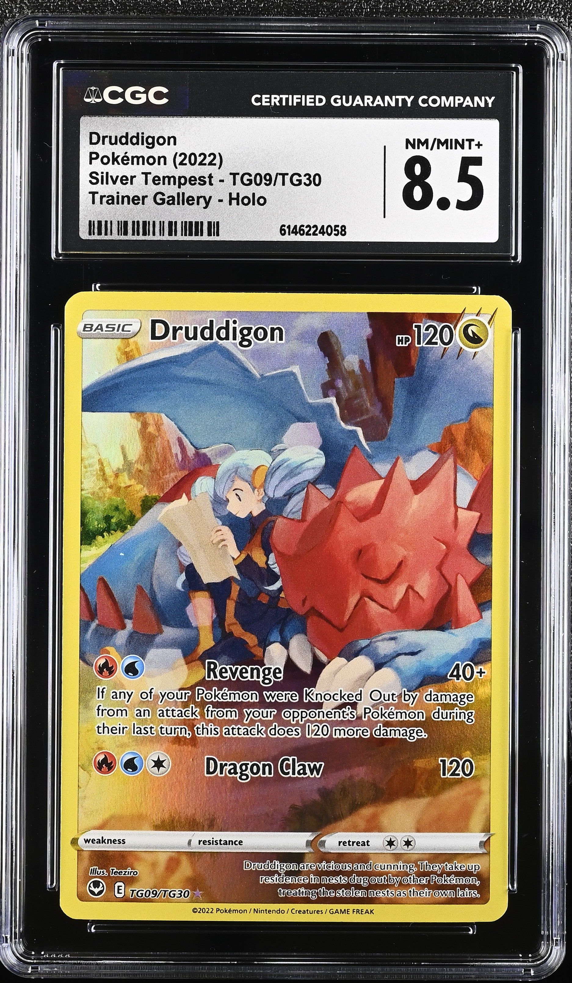 Graded Druddigon (TG09/TG30) Pokémon Card