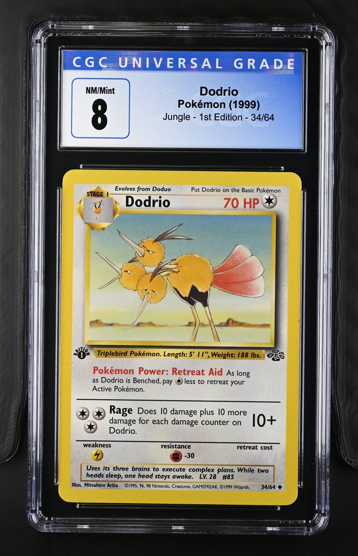 Graded Dodrio (34/64) - Jungle - 1st Ed. - CGC Nm/Mint 8