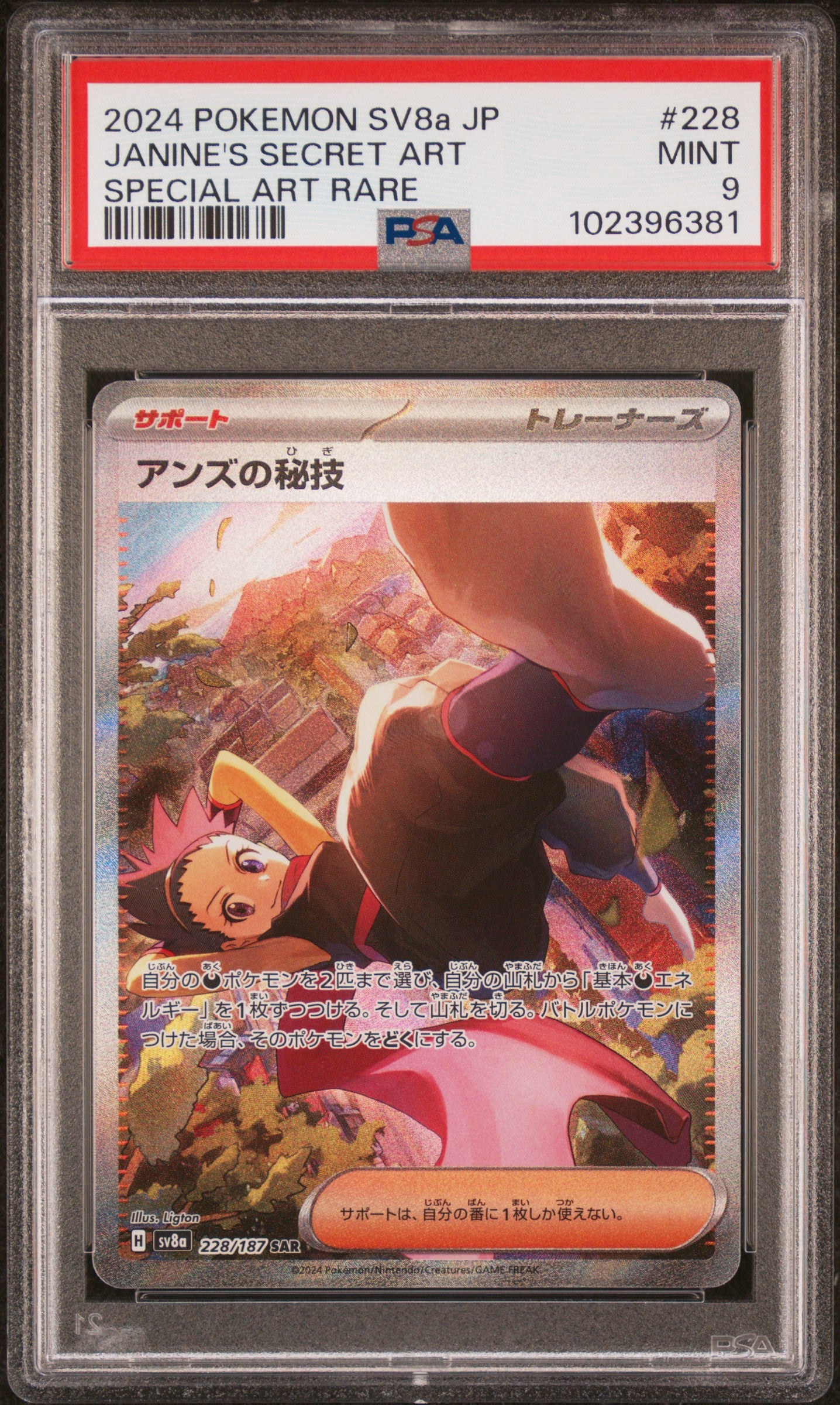Graded Janine's Secret Art (228/187) - PSA 9 - Jap