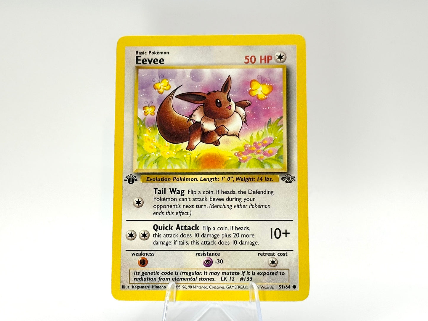 1st Edition - Eevee - Jungle [51/64] - WOTC - - Himeno