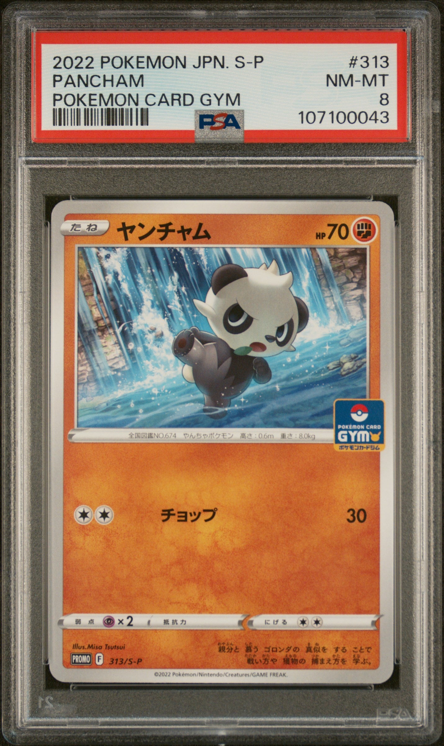 Graded Pancham (313/S-P) Pokemon Card Gym S Promo - PSA 8 - Jap
