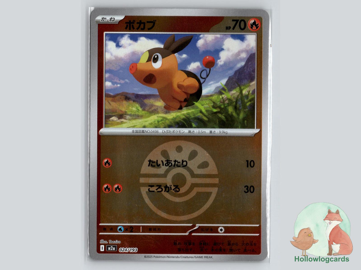 Tepig (024/193) Pokémon Card