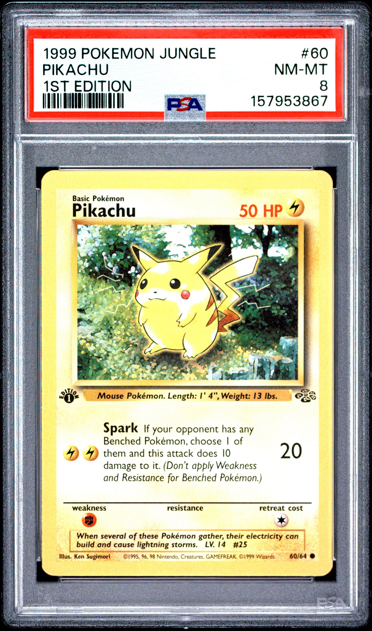 Graded Pikachu (60/64) 1st Edition Jungle - PSA 8