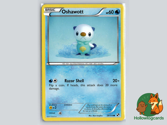 Image of Oshawott Black and White (BLW) #28