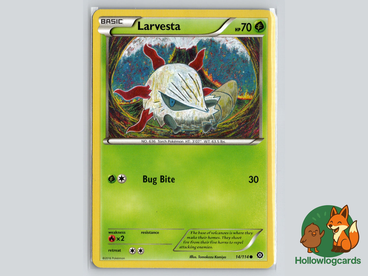 Image of Larvesta Steam Siege (STS) #14