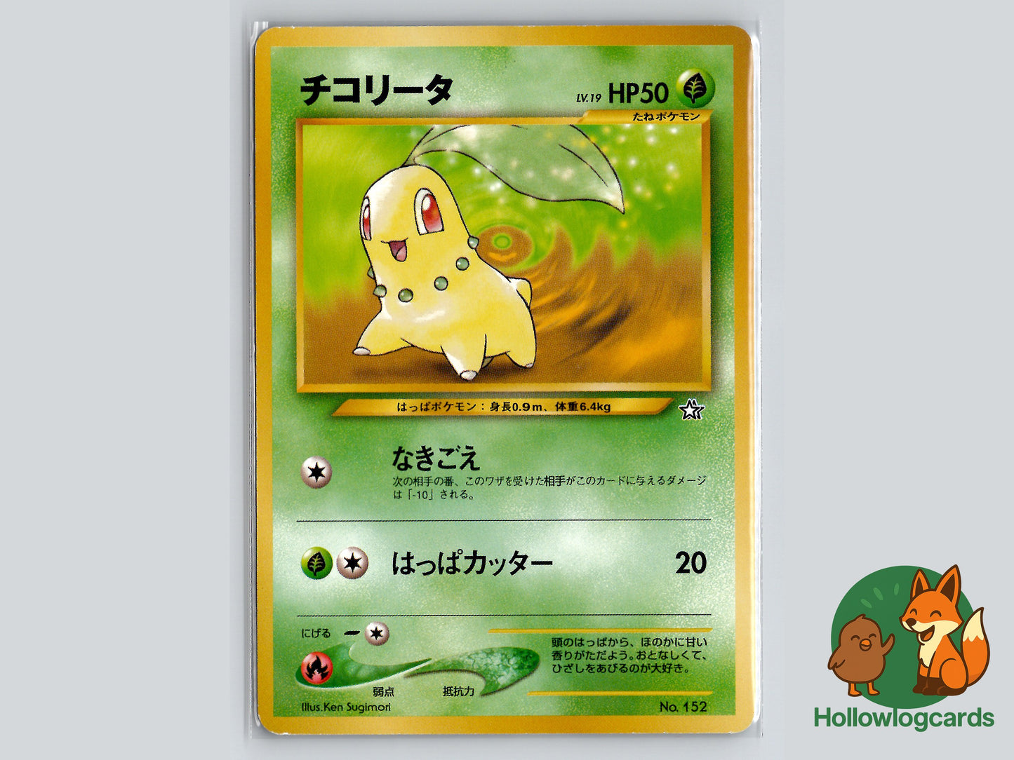 Image of Chikorita Neo Premium File 1 #03