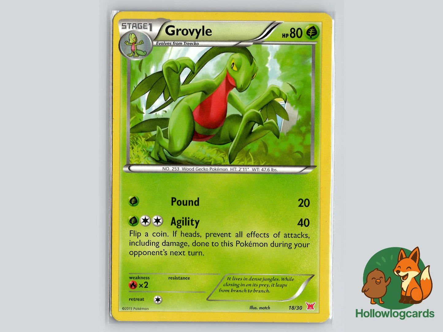 Grovyle (18/30) - XY Pokémon Card