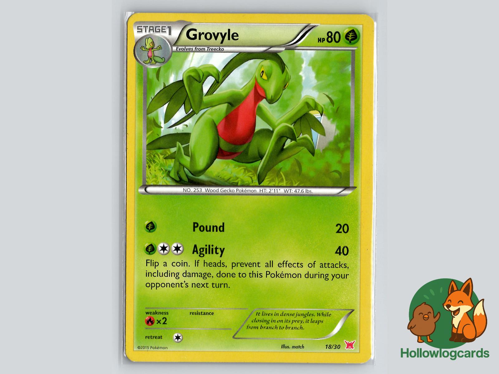 Grovyle (18/30) - XY Pokémon Card