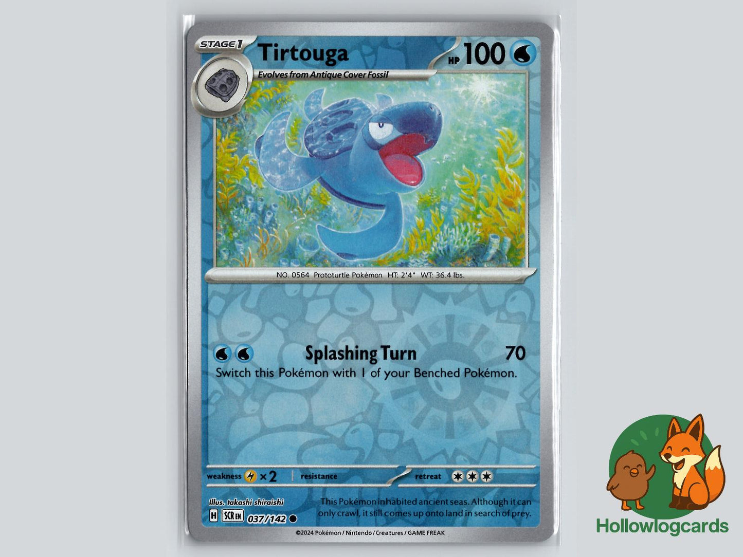 Tirtouga (37/142) - Stellar Crown Pokémon Card