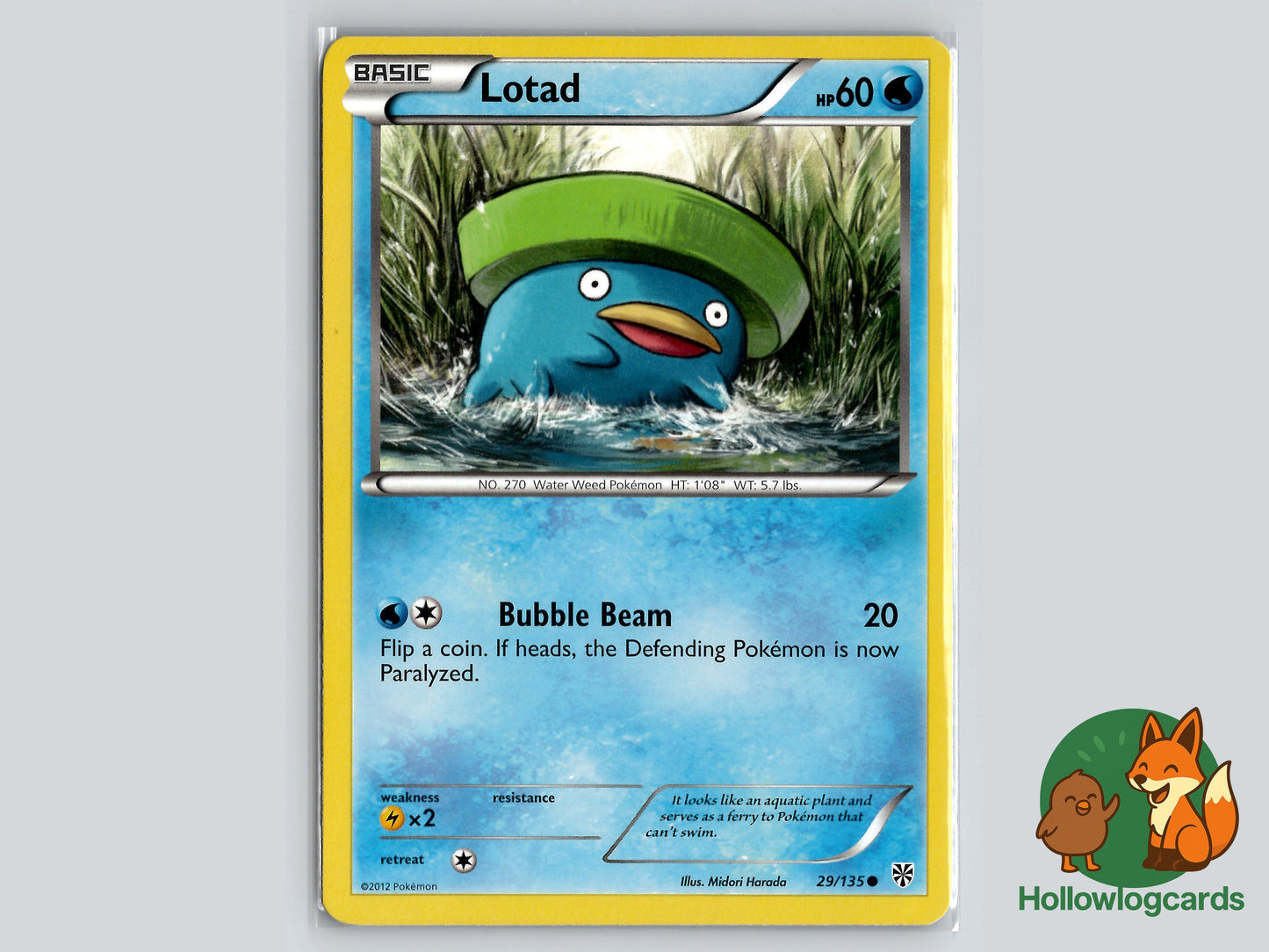 Image of Lotad Plasma Storm (PLS) #29