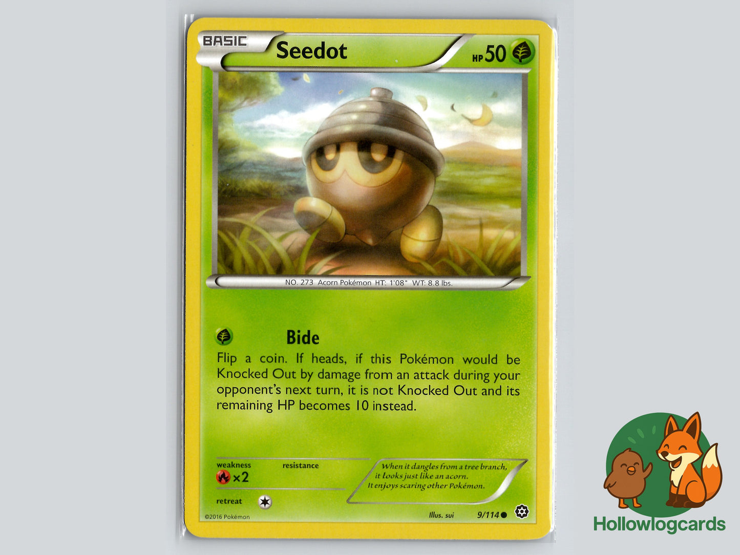 Image of Seedot Steam Siege (STS) #9