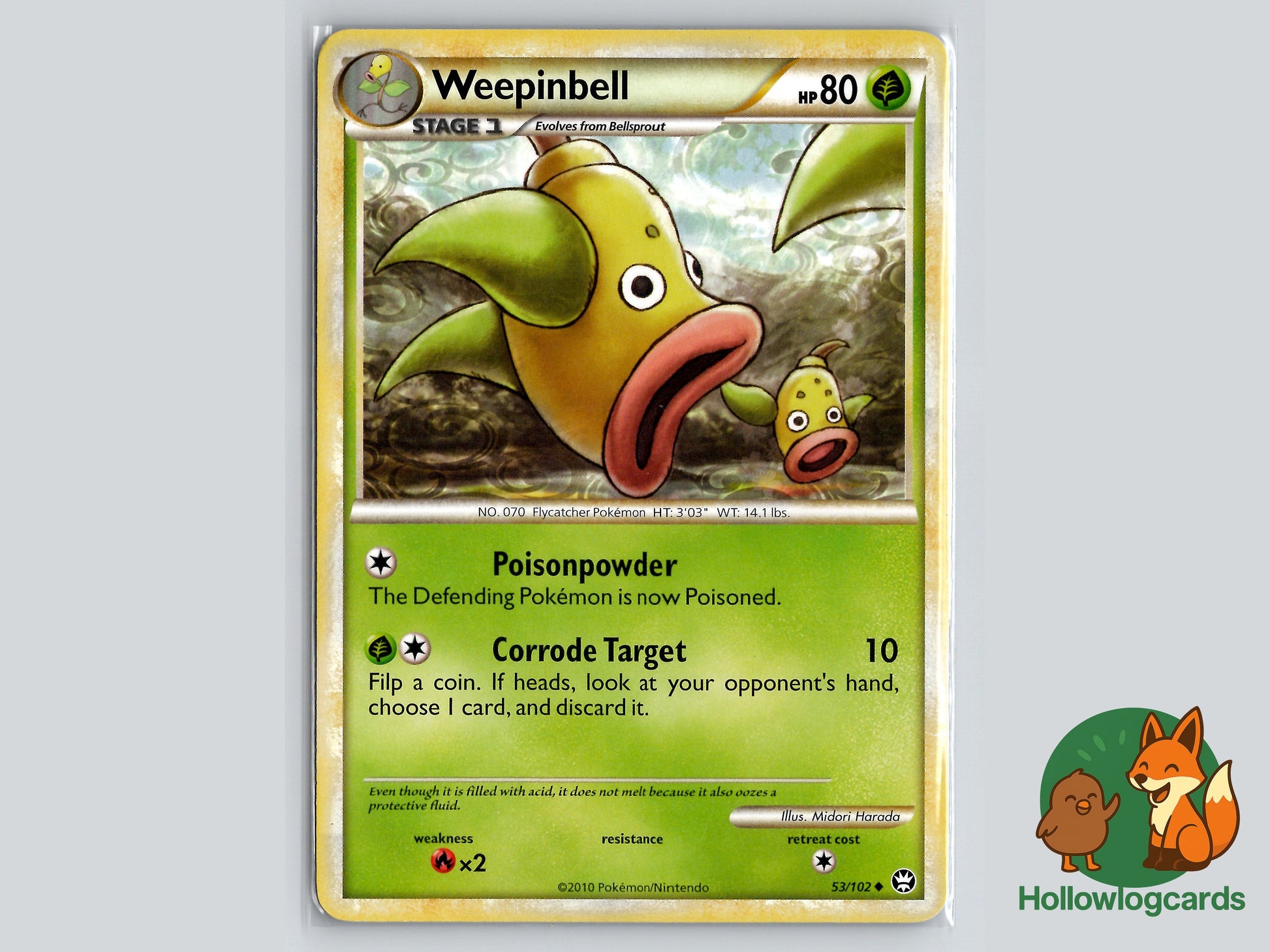 Image of Weepinbell Triumphant (TM) #53
